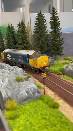 Bachmann Class 37403 Isle of Mull DCC Sound Esu Loksound v5, exclusive model by TMC #174