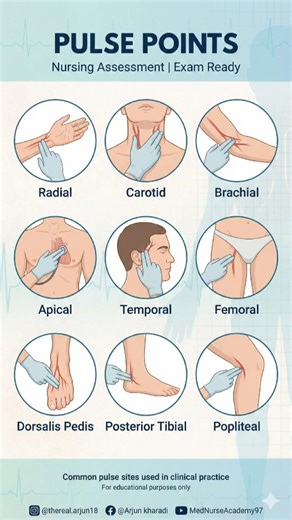 Pulse points explained for nursing assessment & exams #Nursing #Vitals