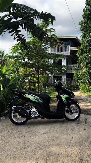 Black Cover Vinyl: Affordable Glossy and Hologram Options