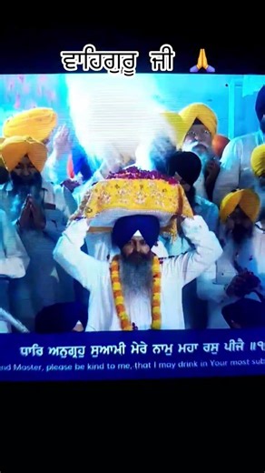Dhan Guru Granth Sahib Ji #amritsar #singh #shorts