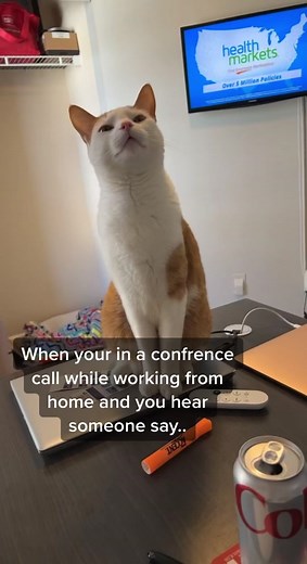 Embarrassing Work from Home Conference Call Fail | Samica