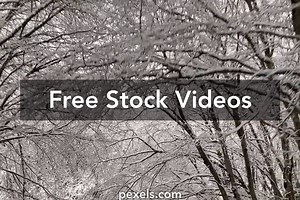 Weather Conditions Videos, Download The BEST Free 4k Stock Video Footage & Weather Conditions HD Video Clips