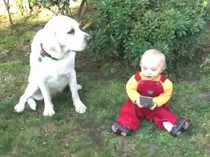 Brian & Stewie in Real Life (The Multiverse Chronicles)