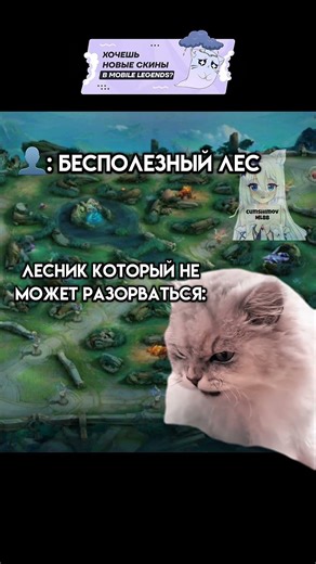 Foresters here?😂 #mlbbindonesia #mobilelegends #mlbb #memes #game #mobile #meme #mlbb #ml #mlbbsh...