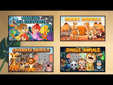 Different Animal Habitat | Kids Educational Video