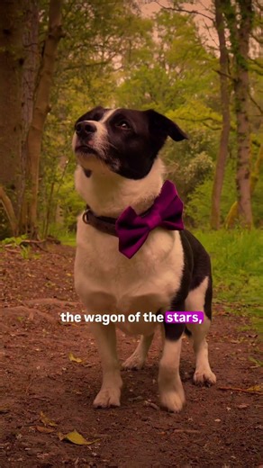 Wain, did you know ? Not Just a Brand — A Direction