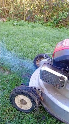 cold start. Honda #Honda #lawmmower