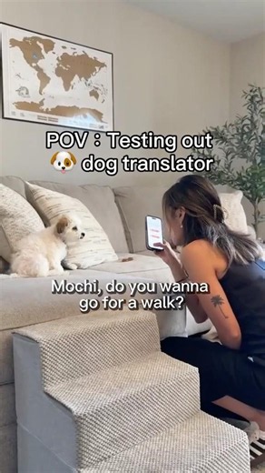 Dog & Cat Translator: Communicate With Your Dog or Cat Just By Your iPhone #cat #dog #pet #translate