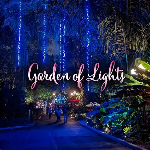 1.5K views · 30 reactions | Garden of Lights is an annual tradition...