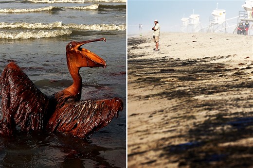 Deadliest US oil spills from Deepwater Horizon to Exxon Valdez's sea slaughter