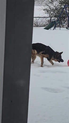 Absolute Building Consultants Inc. on Reels