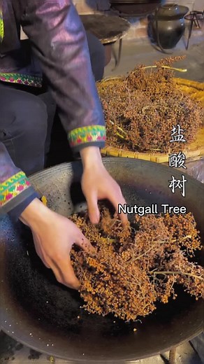 Ancient China on TikTok