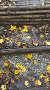 23K views · 181 reactions | Sari Cool - ساري كول on Reels | Facebook