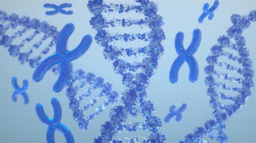 Marriage within the community: How endogamy affects genetic health of Indians