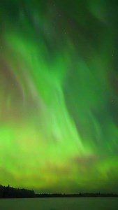 4K views · 1.4K reactions | Pulsating aurora | Vincent Ledvina - 'The Aurora Guy' | Facebook