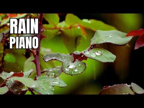 Rain on Leaves with Soft Piano for Deep Sleep 🌧️🎹 | 1 Hour | Luvia Calm