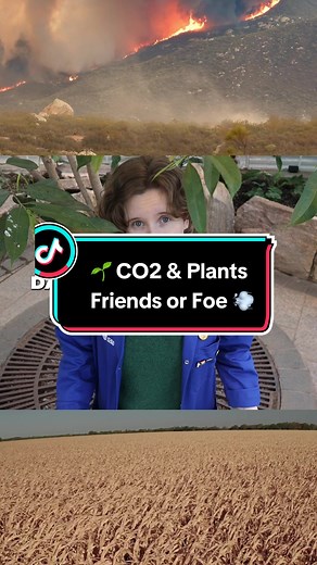 CO2: Friend or Foe? The Impact on Plants