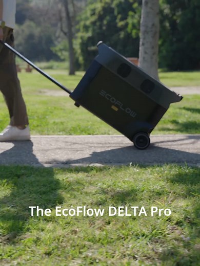 EcoFlow DELTA Pro: Portable Power for Camping & Home Backup