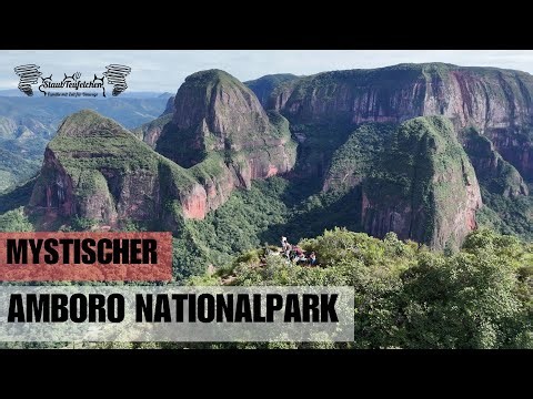#45 Mystical Paradise: Amboro National Park in Bolivia by 4WD Motorhome