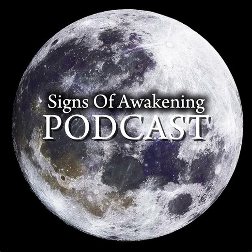 Signs of Awakening interview with santos bonacci