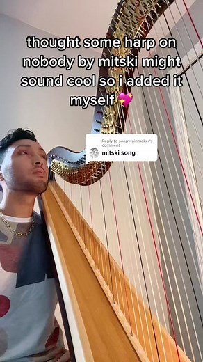 Harp Cover of 'Nobody' by Mitski | Music Instrumental