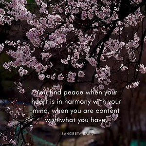 A place called harmony… | Thoughtfultable.com