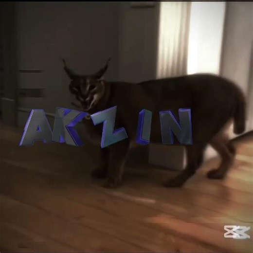 meowl vs floppa🥶 #edit #phonkagressive #phonk #floppa #meowl #apoyo #bome #viral