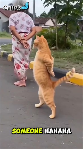 Just like master, just like pet! 🐱👵🚶‍♂️ #funnycats #smartpets #shorts #comedy #cattok #foryou