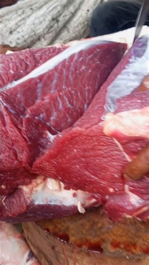 red meat processing cutting experience #reels #viralvideo
