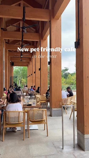 Exploring Canopy Jurong Lake Gardens and Foodie Spots in Chinese Garden