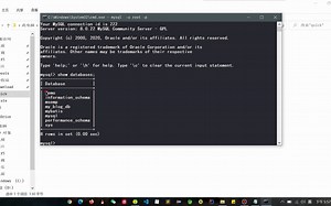 命令行执行.sql文件
