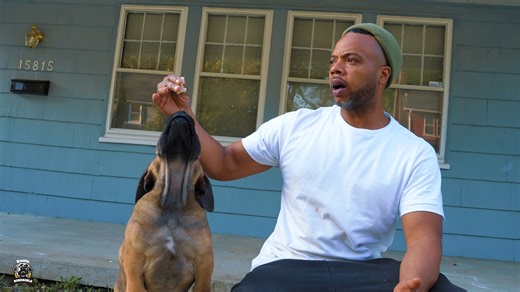 In this episode, I’ll share key points on what it truly means to be a responsible Boerboel breeder, especially when it comes to raising puppies💯. We’ll touch on the essential traits breeders must uphold to ensure the well-being and development of their dogs. From daily care to early socialization, every detail matters. Most importantly, we’ll highlight the value of maintaining quality in every aspect of the breeding process.❤️ #tuesday #happytuesday #tuesdays #tuesdayvibes #tuesdaymotivation #t