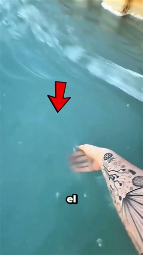 No te tires nunca a esta piscina😨 #scary #science #experiment
