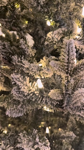 Angela ♥️ on Instagram: "I'll never get used to Rhode Island winters ❄️ and that's why I'm always down for a festive evening in pajamas from the comfort of my heated car. 🚗 Here are some of my favorite drive-by Christmas tree home displays thanks to some amazing families across the state: 💫 Lewis Family Christmas Display 12 Shenandoah Rd, Warwick, RI 02886 Conway Christmas Lights Extravaganza 265 Maple Valley Rd, Coventry, RI 02816 Picozzi Family Christmas Display 75 Gristmill Rd, Warwick, RI 