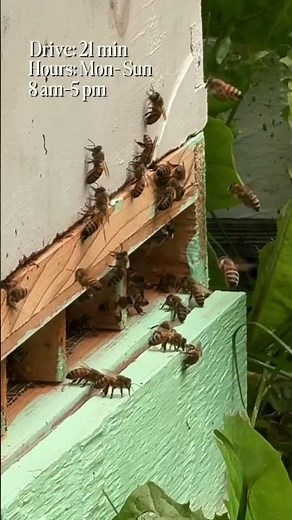 Local Bee farm #Alberta #Edmonton