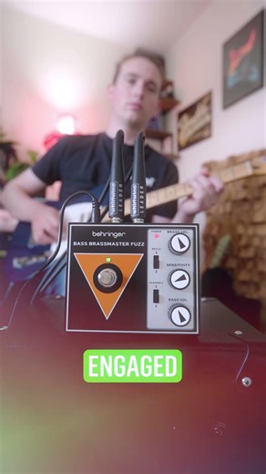 Behringer Bass Brazzmaster Fuzz 🔥 #behringer #bassbrazzmaster #fuzz #pedals #demo