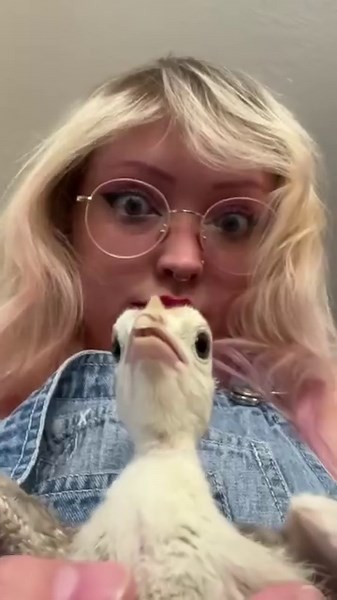 82K views · 4.2K reactions | Red the turkey meets his baby! Does he care about them?? (Red has likely forgotten all about his babies since I had to raise them indoors. He might’ve actually been a good dad but him and Pinky in the past haven’t been able to hatch any of their eggs, so that’s why I cared for them! 旅) #bird #birds #turkey #red #farmlife #animals | CatAleah | Facebook