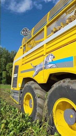 Tiger 6S Ropa brand new 2025😍