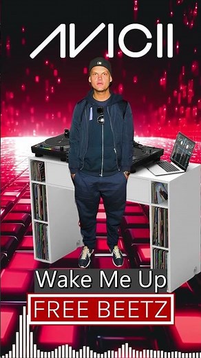 Avicii - Wake Me Up - Instrumental Track