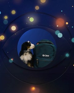 1.3K views · 14 reactions | CBS on Reels | Facebook