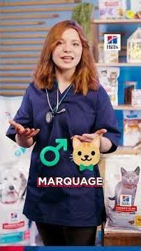 Stérilisation du chiot et du chaton : quel est le meilleur moment ? - LE POINT VÉTO par Hill's