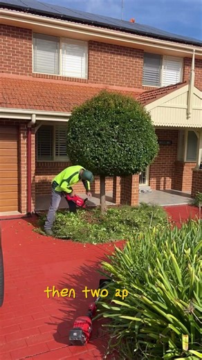 Satisfying Gardening Work🌳#garden #satisfying #cleaning #grass #lawn #viral #fyp #trending #786