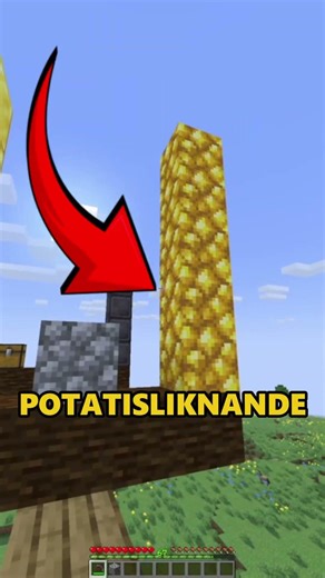 Vilket Block Väger MEST i Minecraft?