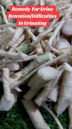 Effective Natural Remedies for Urine Retention | Urination Problems