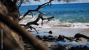 Rack focus shot of the waves and the tree branches