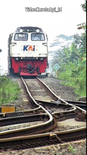 Kereta Lodaya Ini Mengalami Keterlambatan Efek Selip Sebelum Stasiun Cipeundeuy | Videokereta Api Id