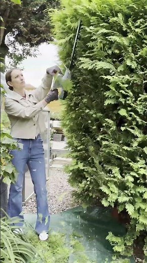 Battery Hedge Trimmer for Fast, Precise Cutting - Vonhaus F-Series Cordless Hedge Trimmer #gardening
