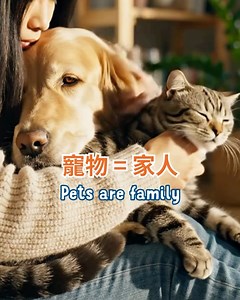 2K views | Whiskers N Paws on Reels | Facebook