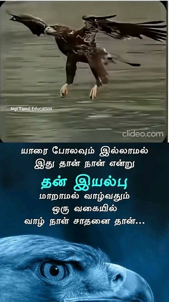 Self respect required always/ #motiationalspeech #shortsviral