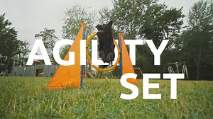 Watch Dog Agility Training Equipment Set for Indoor & Outdoor on Amazon Live